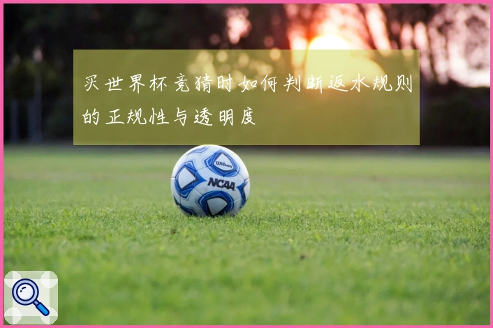 买世界杯竞猜时如何判断返水规则的正规性与透明度