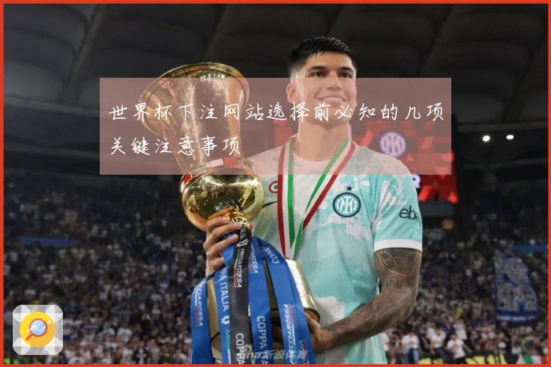 世界杯下注网站选择前必知的几项关键注意事项