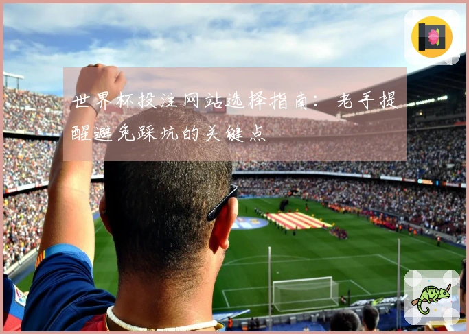 世界杯投注网站选择指南：老手提醒避免踩坑的关键点