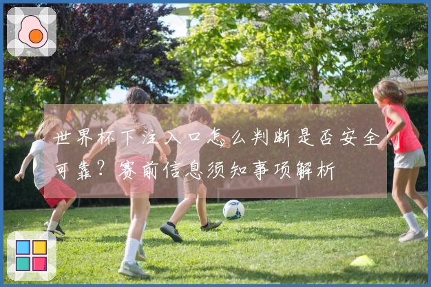 世界杯下注入口怎么判断是否安全可靠？赛前信息须知事项解析
