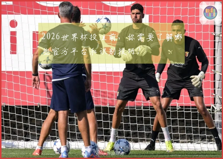 2026世界杯投注前，你需要了解哪些官方平台和识别技巧？