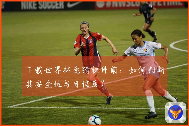 下载世界杯竞猜软件前，如何判断其安全性与可信度？