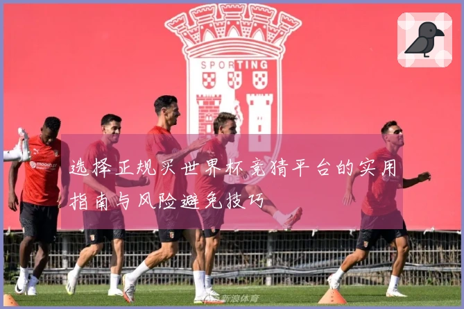 选择正规买世界杯竞猜平台的实用指南与风险避免技巧
