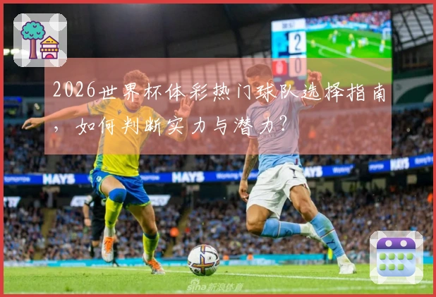 2026世界杯体彩热门球队选择指南,如何判断实力与潜力?