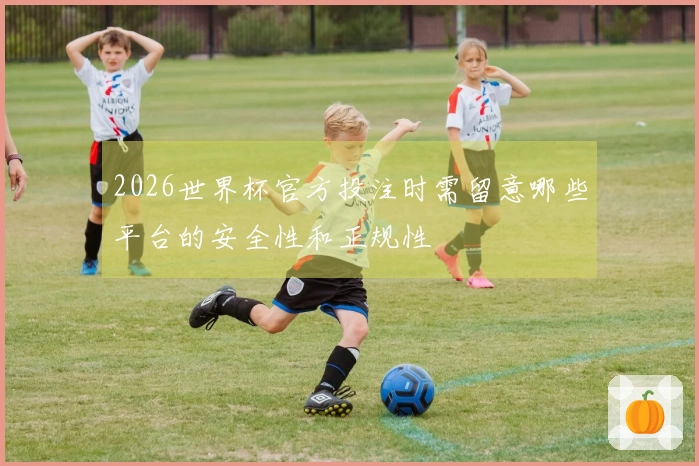 2026世界杯官方投注时需留意哪些平台的安全性和正规性