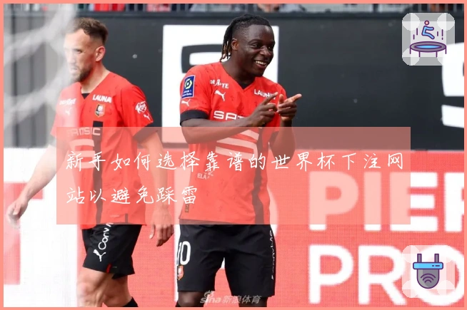 新手如何选择靠谱的世界杯下注网站以避免踩雷