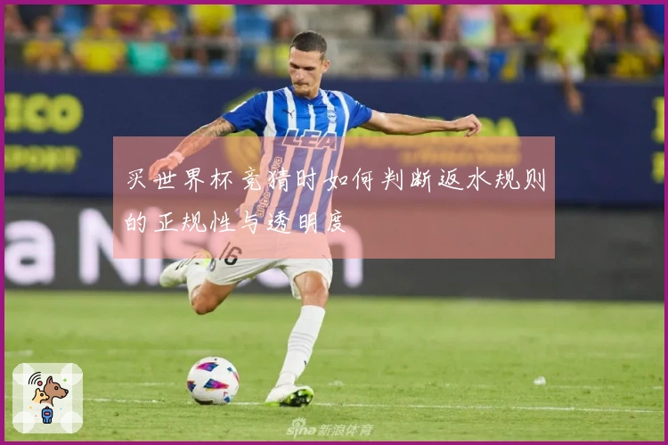 买世界杯竞猜时如何判断返水规则的正规性与透明度
